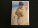 ３　ジュニアアイドルイメージDVD　なぎさのビーチ　高野渚　（中2）