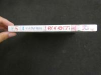 ３　ジュニアアイドルイメージDVD　南国七色少女　にじのここな（中1）