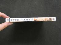 8　イメージDVD　ZURIKOKI　VOL.1　藤池れみ