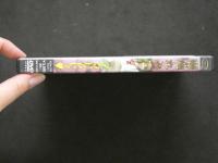 8　イメージDVD　藤池れみ　アウトでしょ