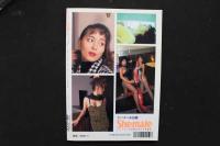 4　シーメール白書　Vol.１７