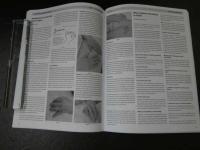 ３　2  NAJOM　北米東洋医学誌　2025年7月　通巻94号