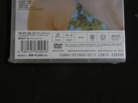 8　2  イメージDVD　小野愛　SUN BODY！！　トラフィックジャパン