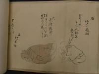 6　8　真作　池田琴峰　呉春作　三十六歌仙図の模写　紙本着色約39×964㎝　1巻　