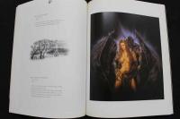 ４　LUIS ROYO Secrets　ルイス・ロヨ画集　英文