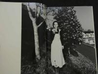 ４　5　②water fruit　篠山紀信＋樋口可奈子