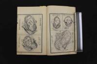 5　5　婦嬰新説　英国合信(ボブソン)　桃樹園三宅氏蔵版　上中下　全2冊