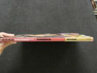 ８　5　落合瑠美写真集　満月爆発　河野英喜撮影　1996年初版第一刷