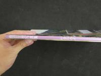 2  ４　飯田里穂写真集　バタフライ