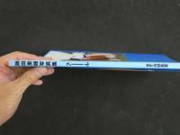 2  ４　飯田里穂写真集　プール