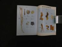 ６　5　東洋医学入門　森一夫著　カラーブックス　６５２　平成2年重版