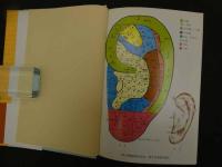 ６　5　新版耳針治療の実際　耳のツボによる診断・治療　昭和52年新版初版