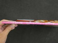 ４３　紗綾写真集　Seventenn's Dreams　撮影／井ノ元浩二
　　　ジュニアアイドル