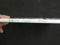 ４３　紗綾写真集　I am・・・　撮影／西條彰仁　