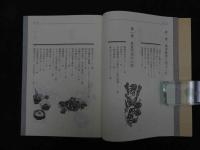 ６　5　薬になる食べものー漢方の智恵　2005年初版