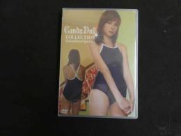 ６　キャンディドール　コレクション　スイムウェアスペシャル　ジュニアアイドル　イメージDVD　未開封