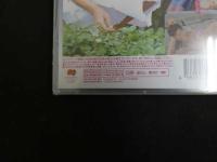 ６　北条紗枝　ミックスジュース　すとろべりーぱうだー　ジュニアアイドル　イメージDVD　未開封