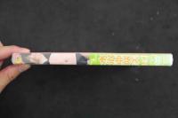 ８　水沢亜咲美　１４才　Pure Lemon　45分　ジュニアアイドルイメージDVD