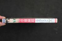 ４　小泉麻耶　「心のプリズム」　57分　アイドルイメージDVD