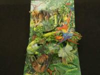 ２　かがく・しかけえほん　熱帯雨林の探検　ナショナルジオグラフィック監修　1989年　大日本絵画　児童書