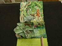 ２　かがく・しかけえほん　熱帯雨林の探検　ナショナルジオグラフィック監修　1989年　大日本絵画　児童書