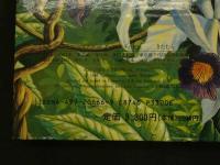 ２　かがく・しかけえほん　熱帯雨林の探検　ナショナルジオグラフィック監修　1989年　大日本絵画　児童書