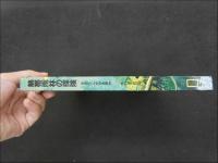 ２　かがく・しかけえほん　熱帯雨林の探検　ナショナルジオグラフィック監修　1989年　大日本絵画　児童書