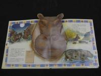 ４　２　かがく・しかけえほん　アフリカの大きな動物たち　ナショナルジオグラフィックソサエティ／監修　大日本絵画　児童書