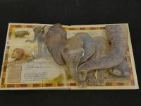 ４　２　かがく・しかけえほん　アフリカの大きな動物たち　ナショナルジオグラフィックソサエティ／監修　大日本絵画　児童書