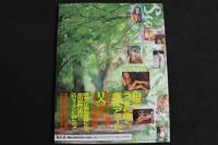 ４　スウェーデン　セックストン２　SWEDEN SEX-TON２