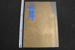 ４　ビニ本　乱舞