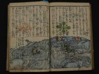 5　5　画本三国誌伝　魁春亭画　3編　木版彩色刷
