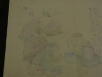 ４　5　引札　引き札　小信画　形糠粉？　各国販売所　京都市猪熊通　太田伊三郎　木版彩色刷　約34x50cm