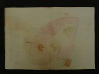 ４　5　引札　引き札　兵庫県加古郡灘本荘　醸造元　梅谷善作　木版彩色刷　約34x50cm