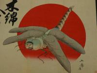 ４　5　引札　引き札　木綿金巾染地商　大阪市安土町　礒田利兵衛　木版彩色刷　約34x50.5cm