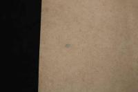 ４　5　捕獲寸前（仮題）出版者・出版年不明　石版色刷　約27ｘ36㎝