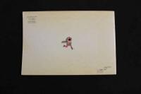 5　5　Little Nemo 2　winsor　McCay