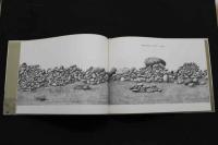 5　5　はまべにはいしがいっぱい　作：レオ・レオニ　訳：谷川俊太郎