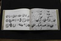 5　5　はまべにはいしがいっぱい　作：レオ・レオニ　訳：谷川俊太郎