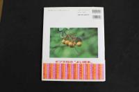 5　5　おばあちゃんは木になった