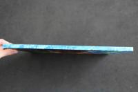 5　5　Tilla Trouble Tooth Pirate　むしばかいぞくのもじゃもじゃマルディー　日・英文　ローゼ＆モダルティス