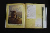 5　5　遠い町から来た話　ショーン・タン　岸本佐知子訳