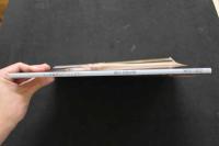 ８　5　ビニ本最後のスーパースター　高橋生建撮影　夏のマリア