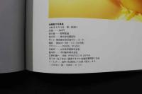 ８　5　加藤香子写真集　あれから　野村誠一撮影