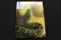 ８　5　福岡晶写真集　デスヌーダ　木村晴撮影