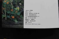 2  ８　小森みちこ写真集