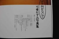 2  ８　可愛かずみ写真集　ふり向かないで