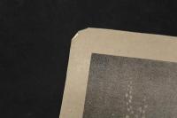 ８　６　典侍柳原公肖像　出版者・出版年不明　石版刷　明治　石版画