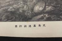 ６　5　児島高徳認詩図　石版刷　48.5×37㎝