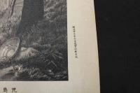 ６　5　児島高徳認詩図　石版刷　48.5×37㎝